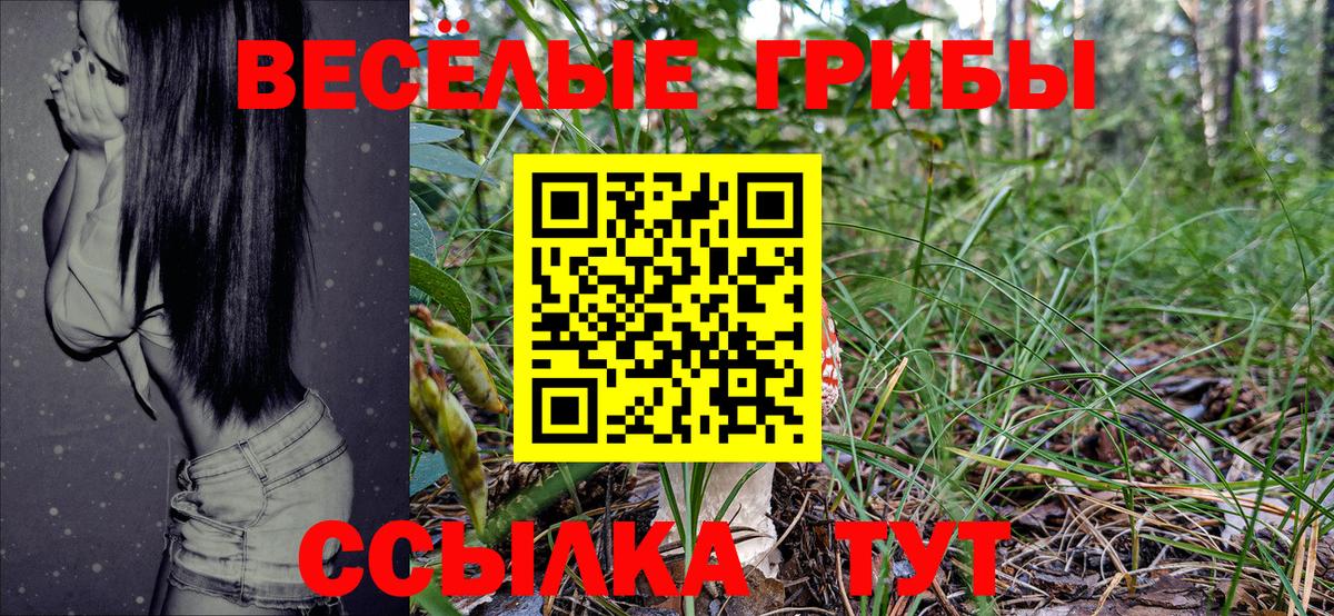 где найти   Вход с VPN  Серов  Галлюциногенные грибы ЛСД 